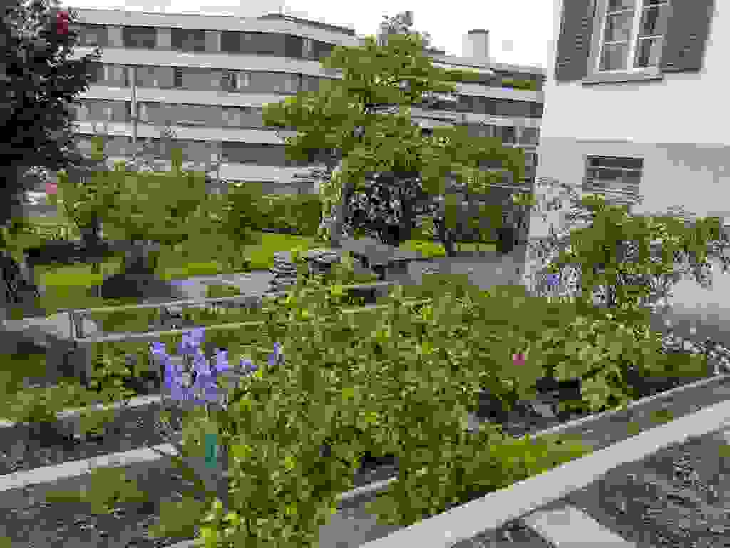 Zoom: garten_20190526_132328.jpg