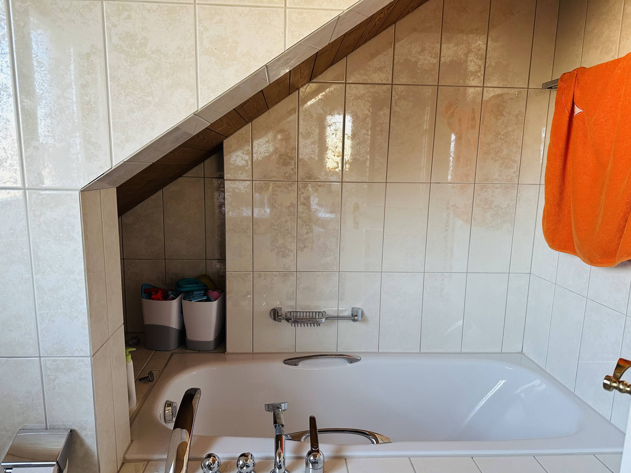 Zoom: bad_dg_1.1.jpg