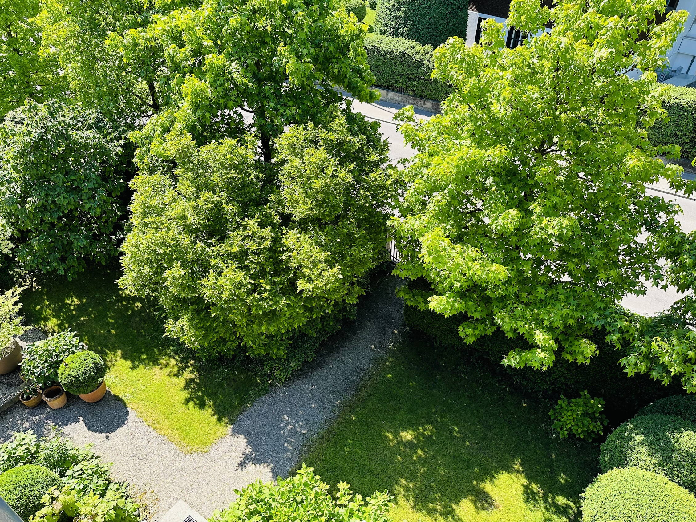 Zoom: garen-2260.jpg