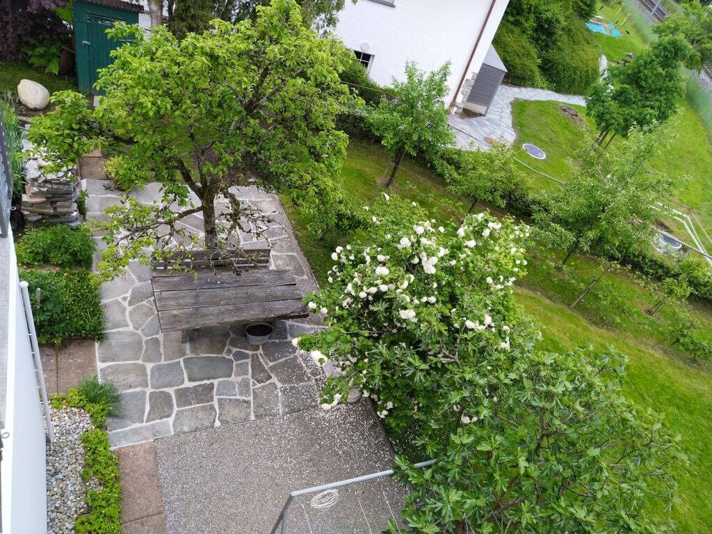 Zoom: garten_20190526_131800.jpg