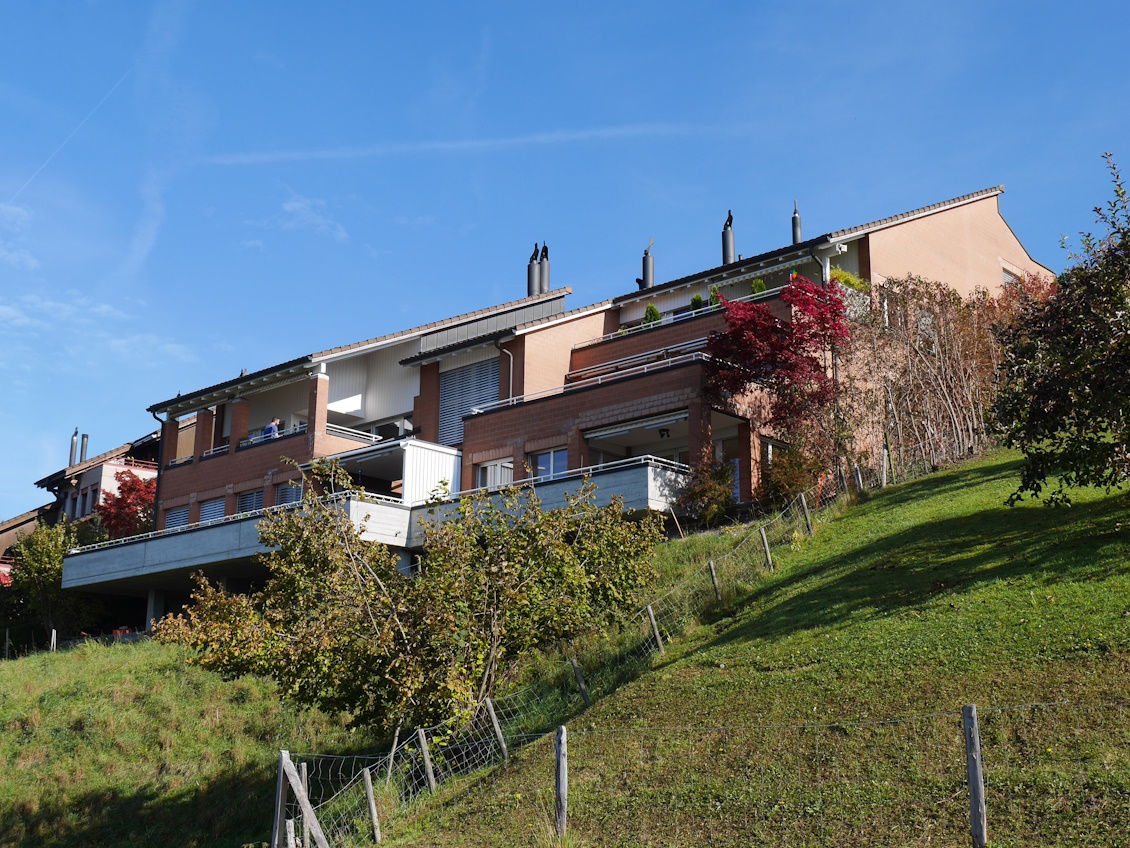 2021-10-31 12.38.421130.jpg 2021-10-31 12.38.421130